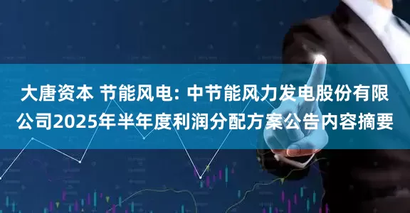 大唐资本 节能风电: 中节能风力发电股份有限公司2025年半年度利润分配方案公告内容摘要