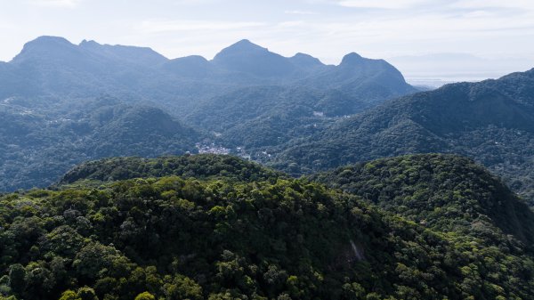 股查查 打击野生动物走私 巴西开展史上最大规模行动